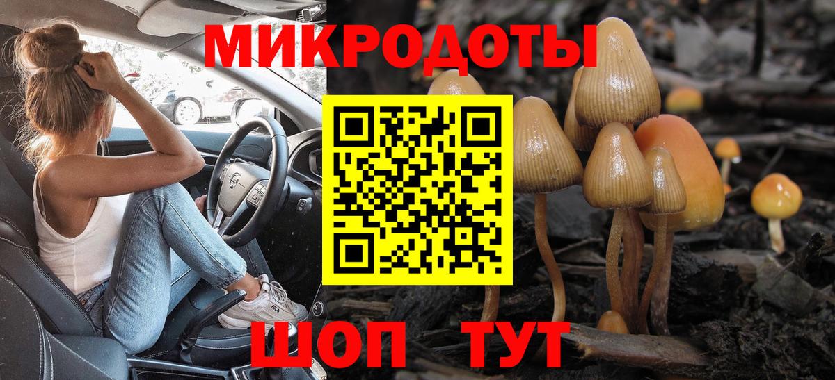 Галлюциногенные грибы Magic Shrooms  Вход с VPN  Рославль 